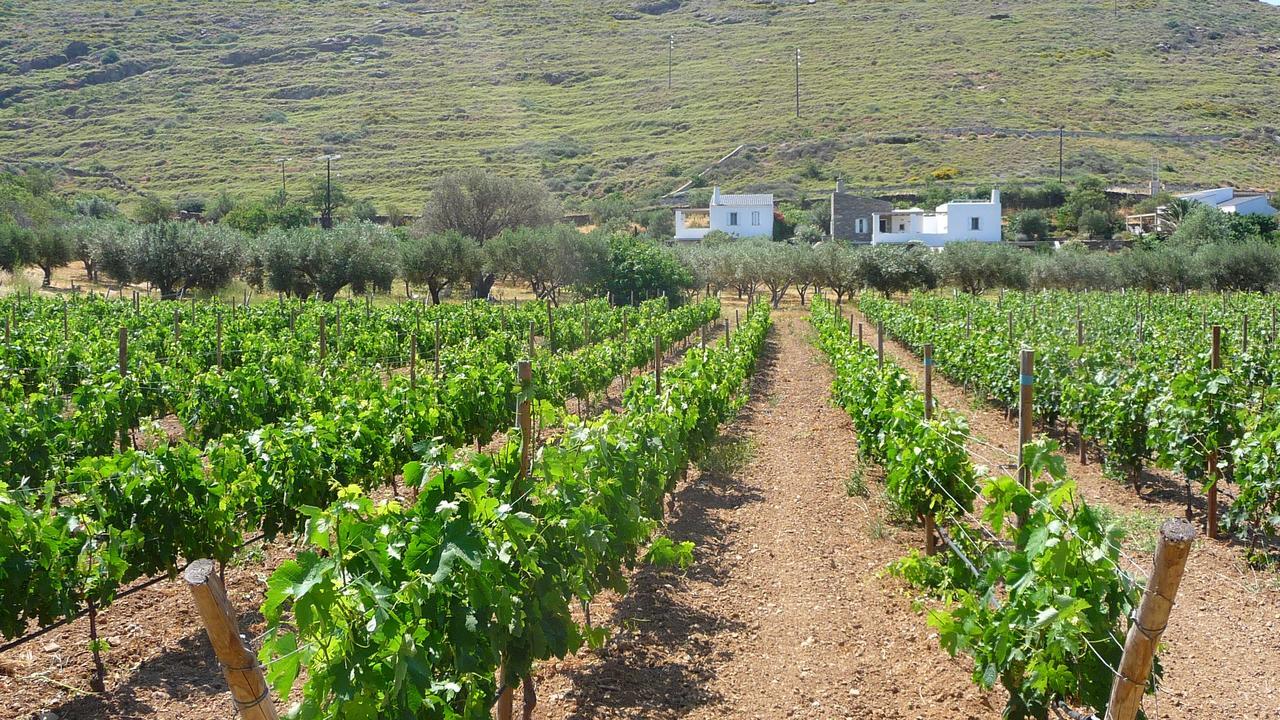 Korissia  Red Tractor Farm 빌라 외부 사진