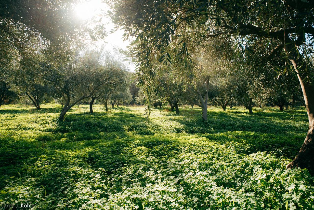 Korissia  Red Tractor Farm 빌라 외부 사진